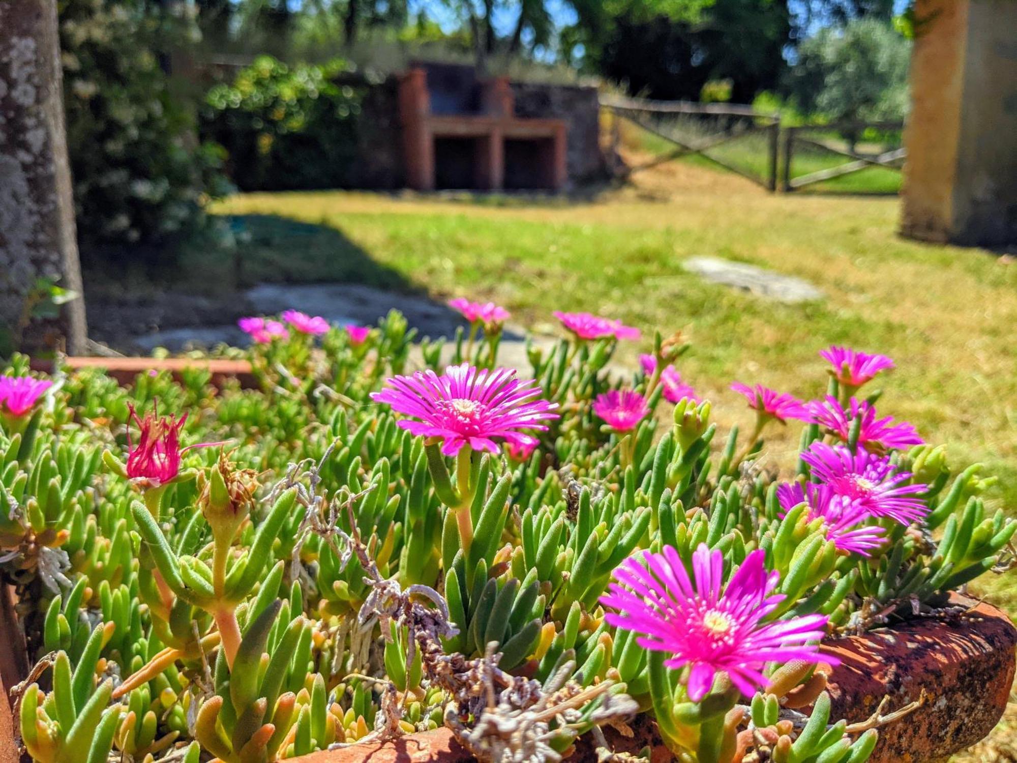 Petrolo Villa Bucine Dış mekan fotoğraf