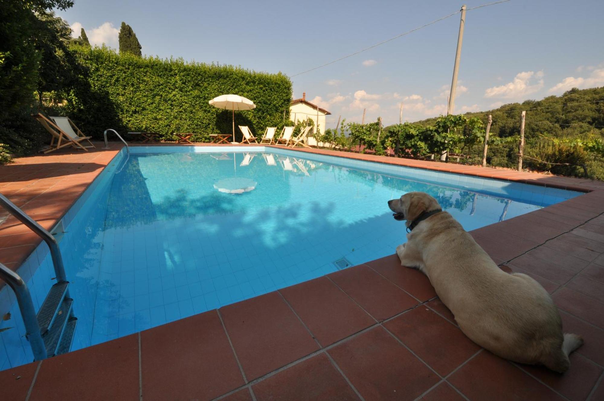 Petrolo Villa Bucine Dış mekan fotoğraf
